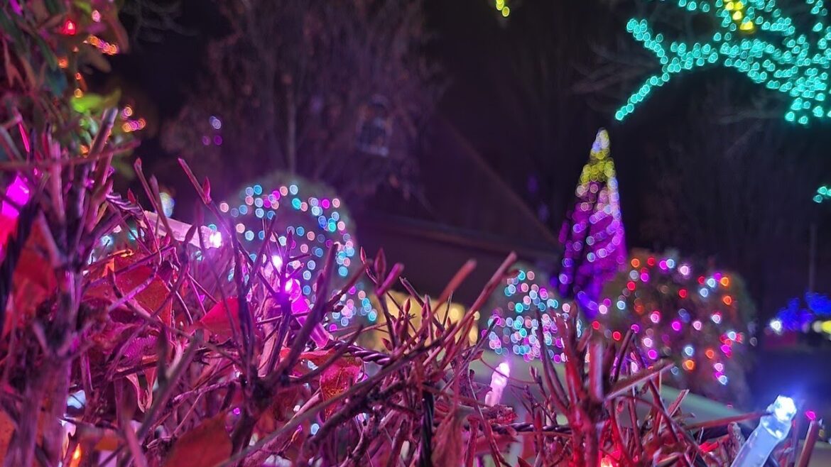 Japan - Tokyo Yomiuriland Christmas Jewellumination 2022 - 2023 Beautiful Night Walk・4K UHD