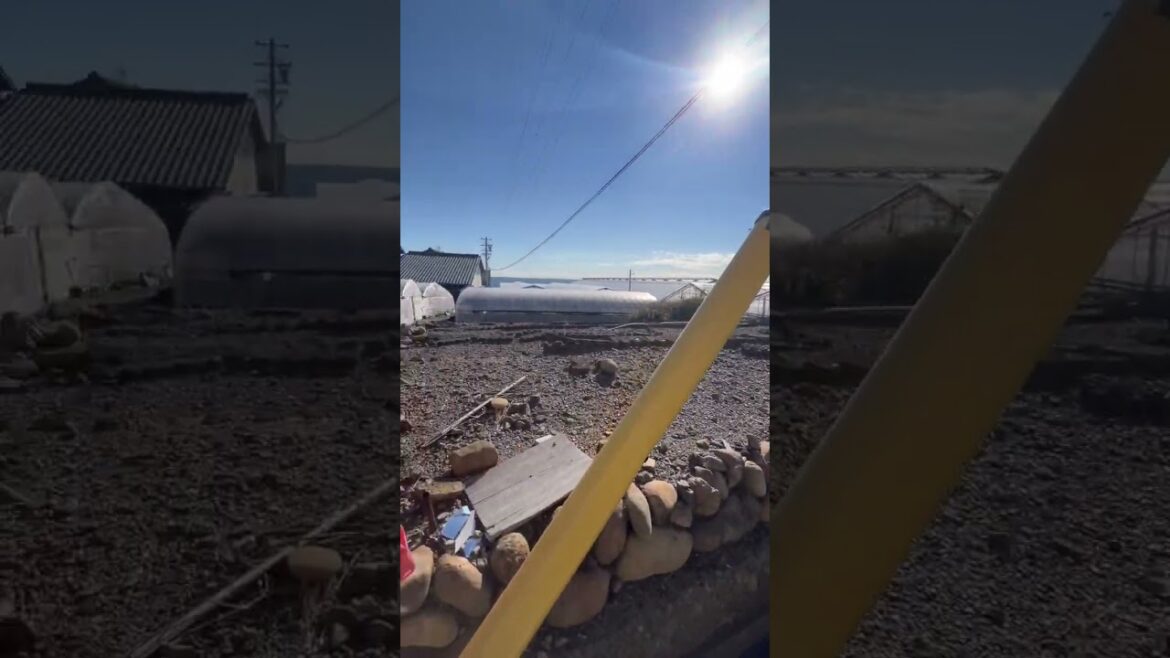 Los Puestos Callejeros Sin Vendedores En JAPÓN 🇯🇵 #japon #mexicanoenjapon #asia