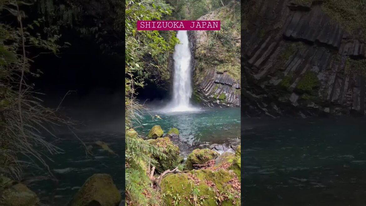SHIZUOKA JAPAN #japan #fyp #falls #travel #japandaily
