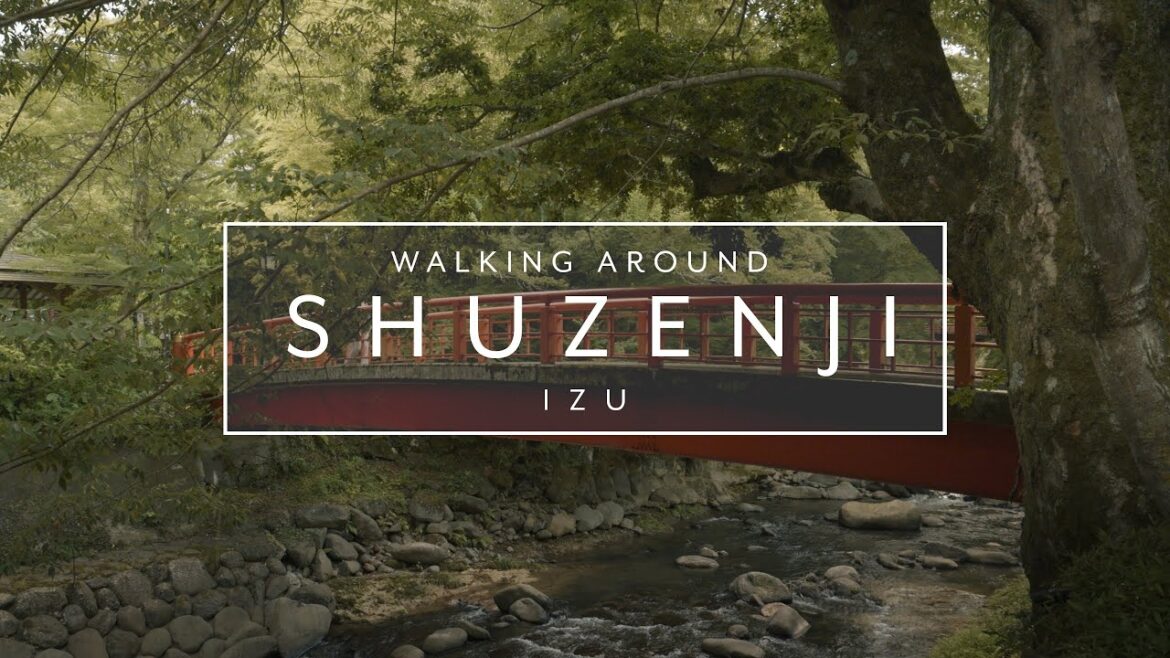 Walking around Shuzenji Onsen in Izu Peninsula | Japan Walk 4K Walking around Shuzenji Onsen in Izu Peninsula | Japan Walk 4K