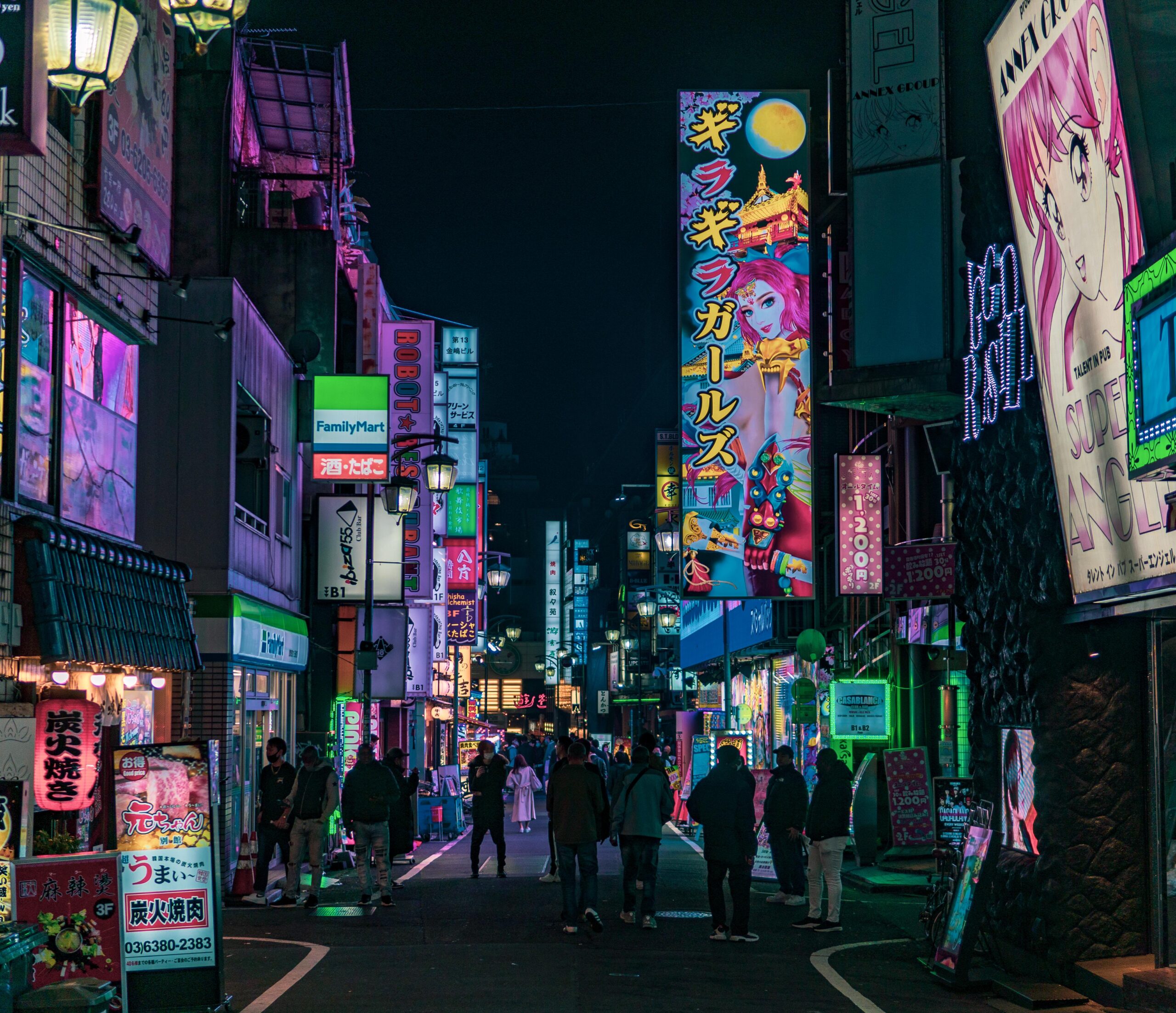 Backstreets of Shinjuku - Alo Japan