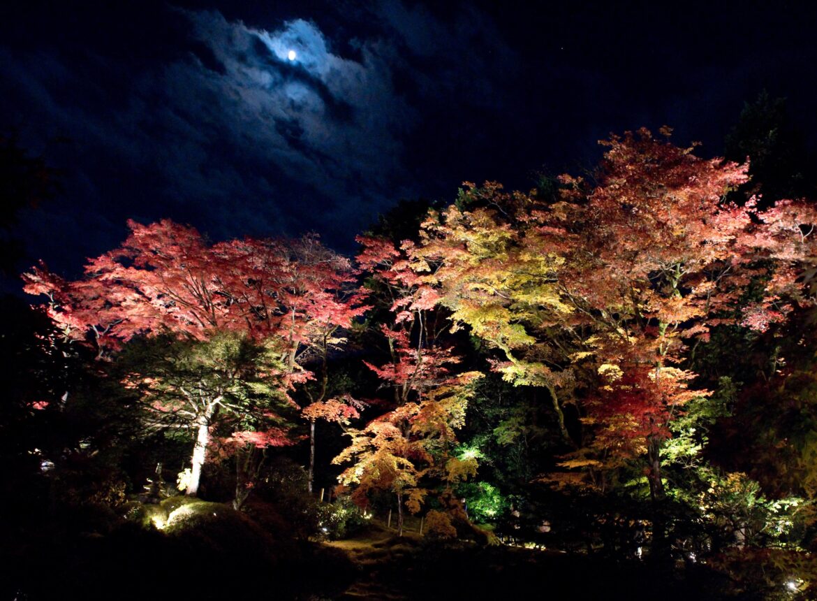 Illumination at Rinno-ji temple, Nikko