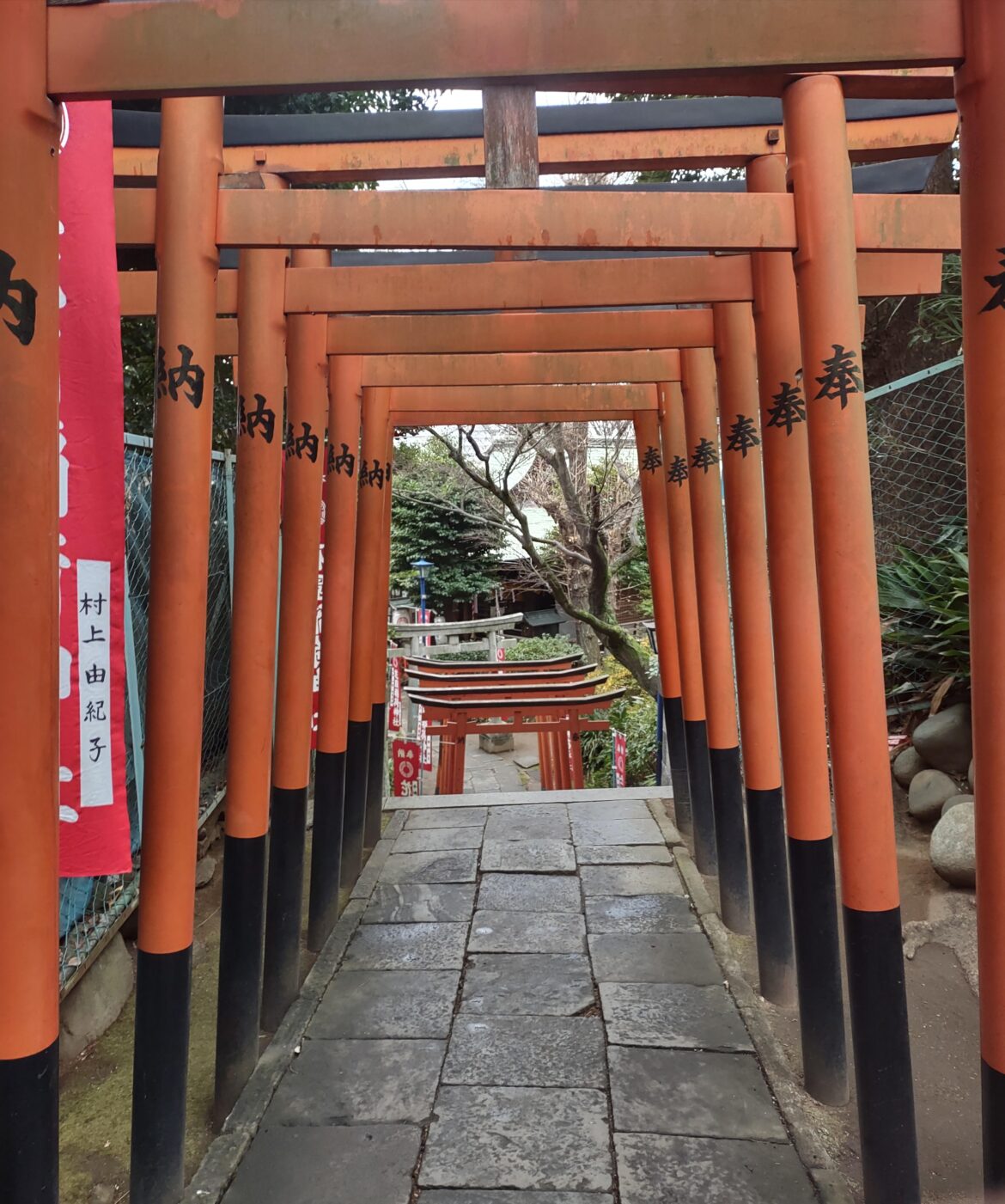Alone at Hanazono Inari Shrine