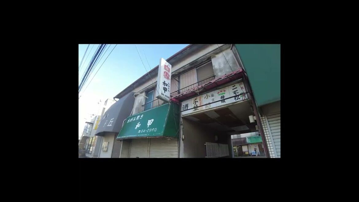 【レトロ飲み屋街】蘇我駅周辺の渋く味わい深い飲み屋街を鑑賞する[Stroll through the old streets around Soga Station]