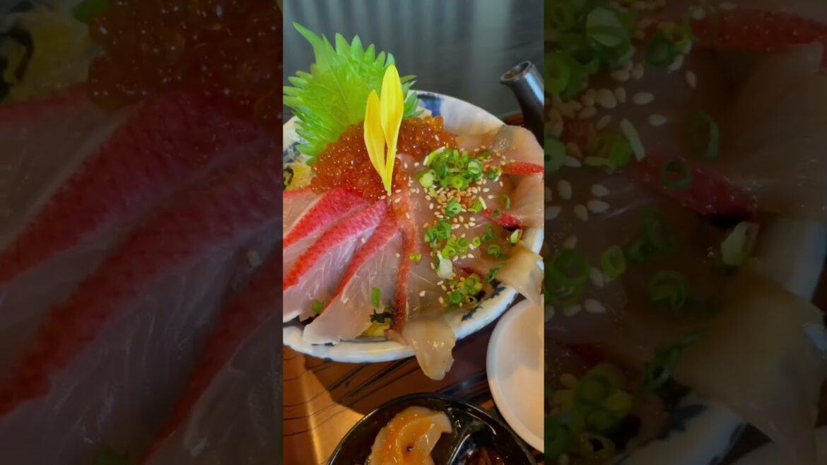 下田でやるべきこと５選「リゾート21に乗車」日本一のキンメダイ＆イカ三升漬けでランチ をする #shorts