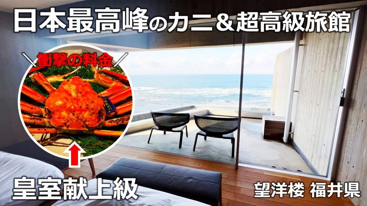 福井の超高級料金のカニ＆温泉旅館♨望洋楼の皇室献上級の越前ガニが凄すぎた🦀Japan's luxury Crab and Onsen Ryokan "Bouyourou" in Fukui