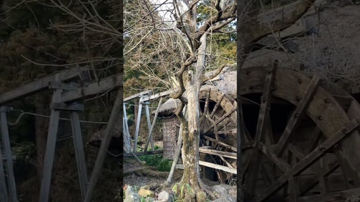 老舗そば屋と茅葺き屋根 #shorts @ASTYLEJAPANTV