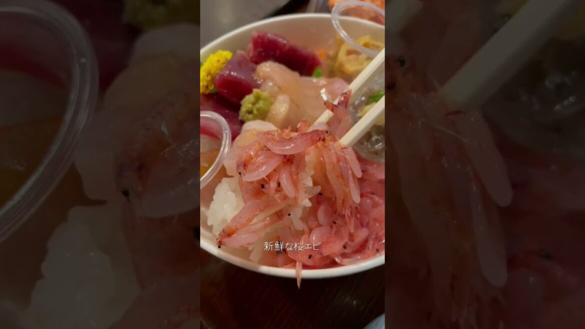 静岡でやるべきこと５選「桜エビ丼＆富士山パワー」宿場町レトロを感じる旅 #shorts