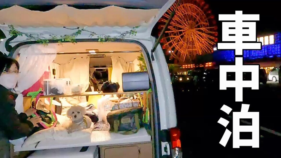 静岡・愛知#5 車中泊を楽しむ夫婦+wanのリアルな5泊6日旅！深夜のサービスエリアで大誤算！どうする家康の岡崎城を思わせる岡崎SAが素敵でした