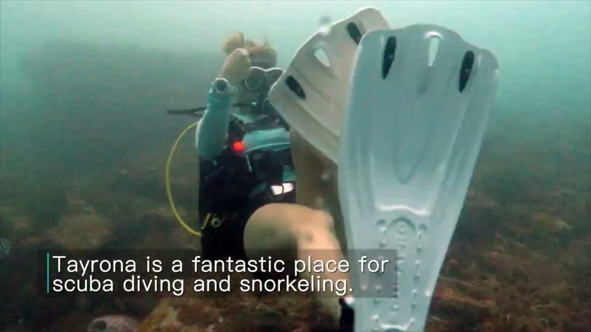 Ocean Lovers Taganga