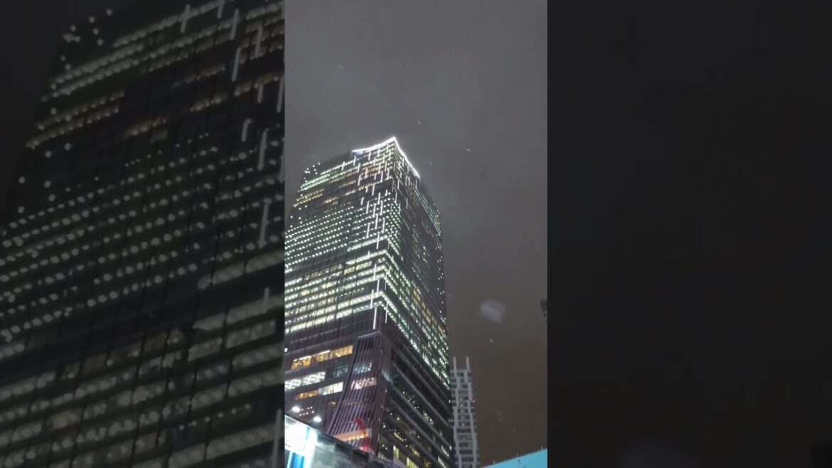 東京 渋谷にも雪が降ってきた 2023 初雪?/Snow in Shibuya in 2023.Tokyo,Japan.