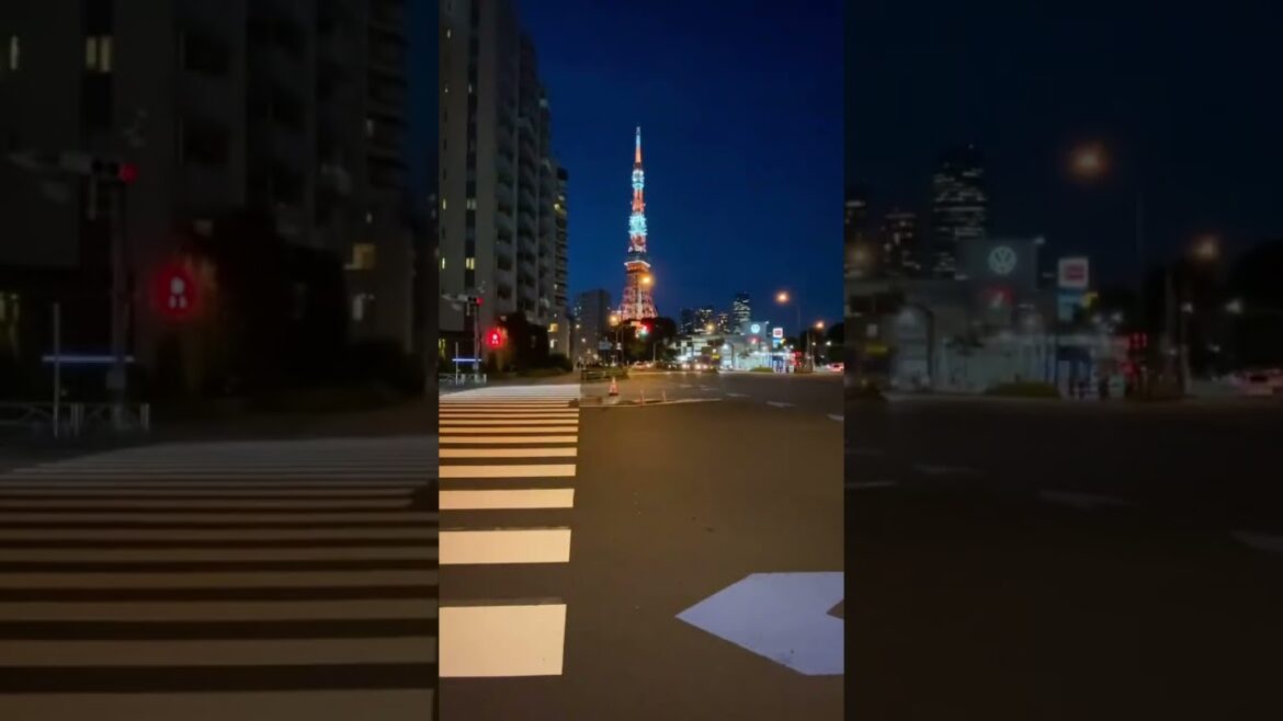 The Best Moments in Tokyo! #tourism #tourist #airlines #reels #nature