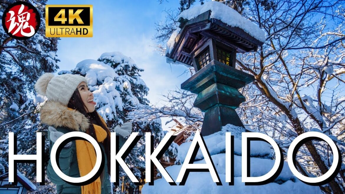 Icy Winter Walk In Freezing Japan | Higashikawa Hokkaido Icy Winter Walk In Freezing Japan | Higashikawa Hokkaido