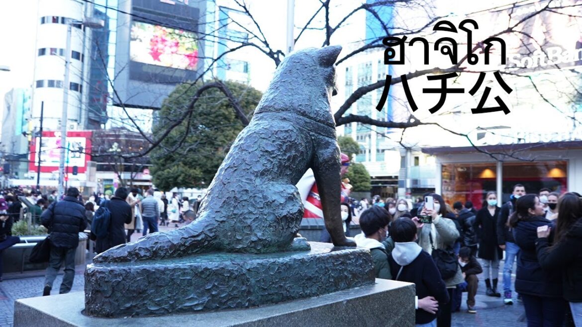 Japan Trip 2023.01.12 DAY.2 ฮาจิโกハチ公 (渋谷スクランブル交差点) Japan Trip 2023.01.12 DAY.2 ฮาจิโกハチ公 (渋谷スクランブル交差点)