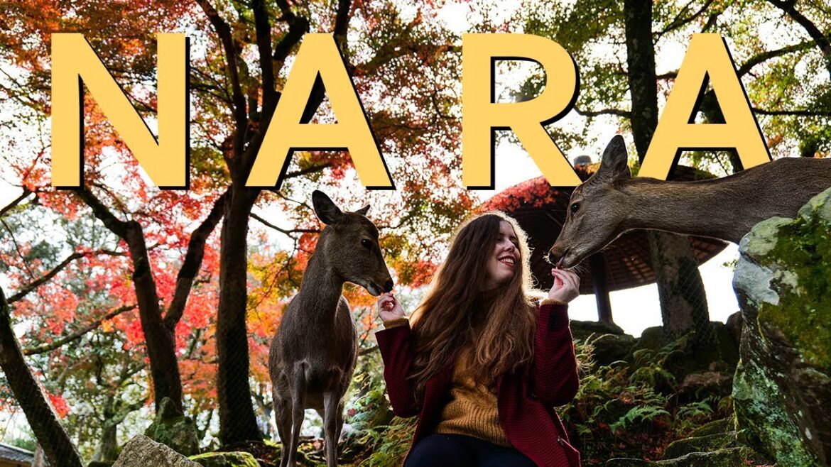 Living Our Fairy Tale Dreams in Nara (& Getting Adopted by a Deer) 🦌🍁
