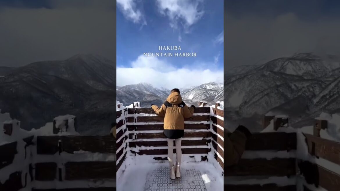 絶景⛄️白馬マウンテンハーバー