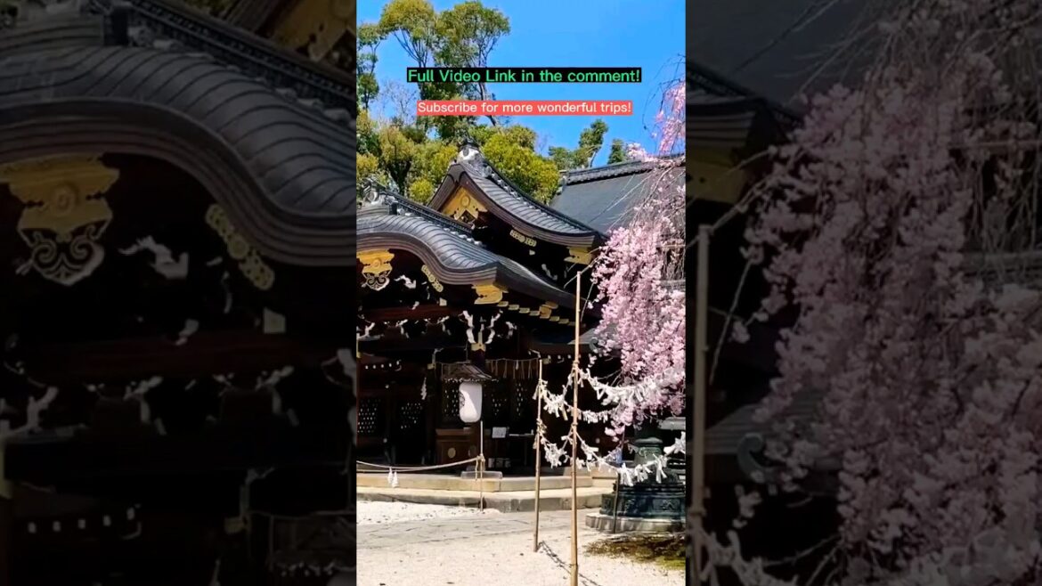 Japan's Beautiful Place, Kyoto – Travel Video #shorts Japan's Beautiful Place, Kyoto - Travel Video #shorts