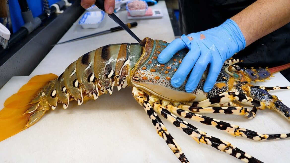 $600 거대한 크기 무지개 닭새우, 세가지 방법으로 요리 – 오키나와 길거리음식 Okinawa street food $600 거대한 크기 무지개 닭새우, 세가지 방법으로 요리 - 오키나와 길거리음식 Okinawa street food