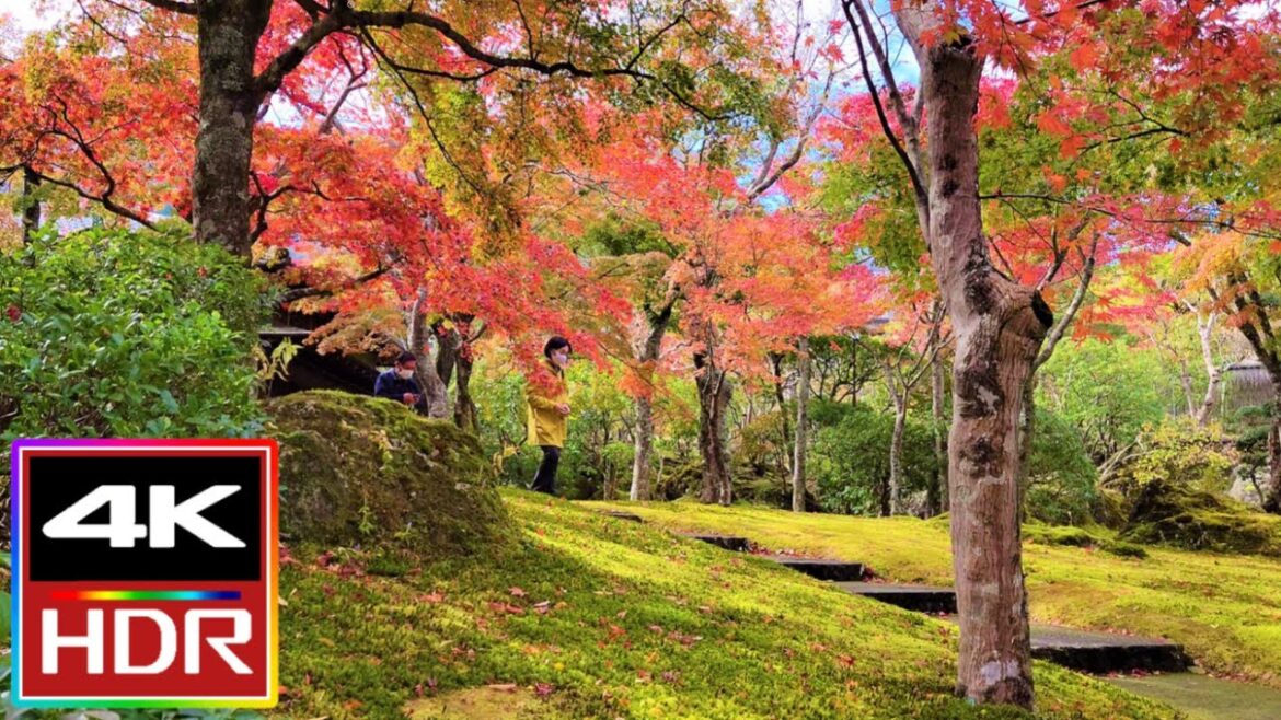 Hakone Museum of Art Garden, Japan Walking Tour π Hakone Museum of Art Garden, Japan Walking Tour π