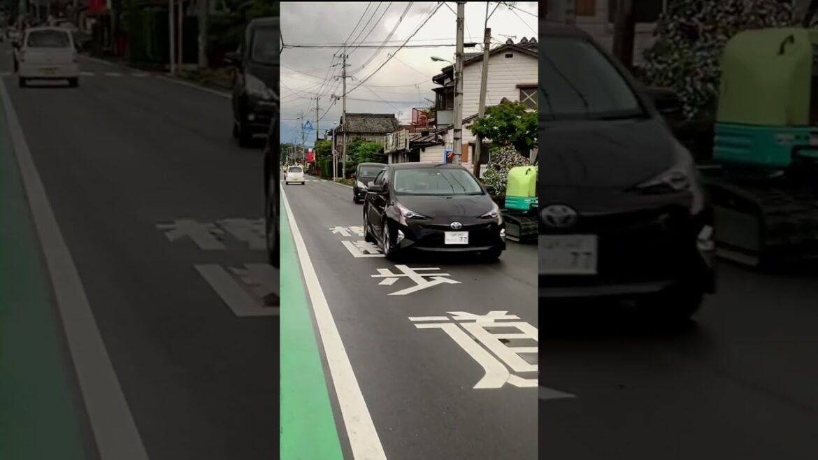 Exploring the Hidden Gems of Japan's Countryside: A Village Road Trip #shorts