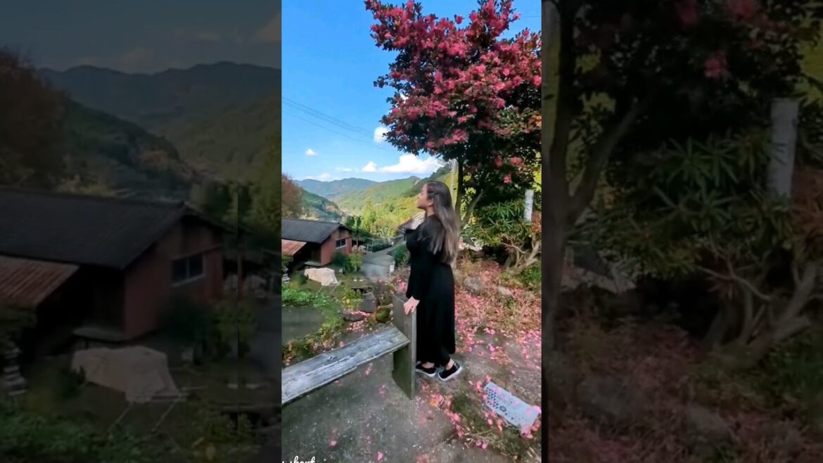 Life is good in the mountains of Japan! Travel Vlog