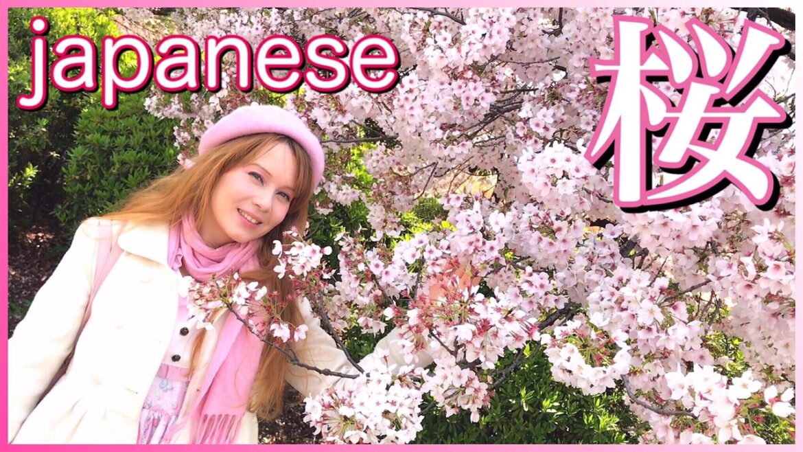 Cherry Blossoms in Tokyo! Hanami Sakura Festival at Shinjuku Park in Japan ♡ BEAUTIFUL LAST CHANCE