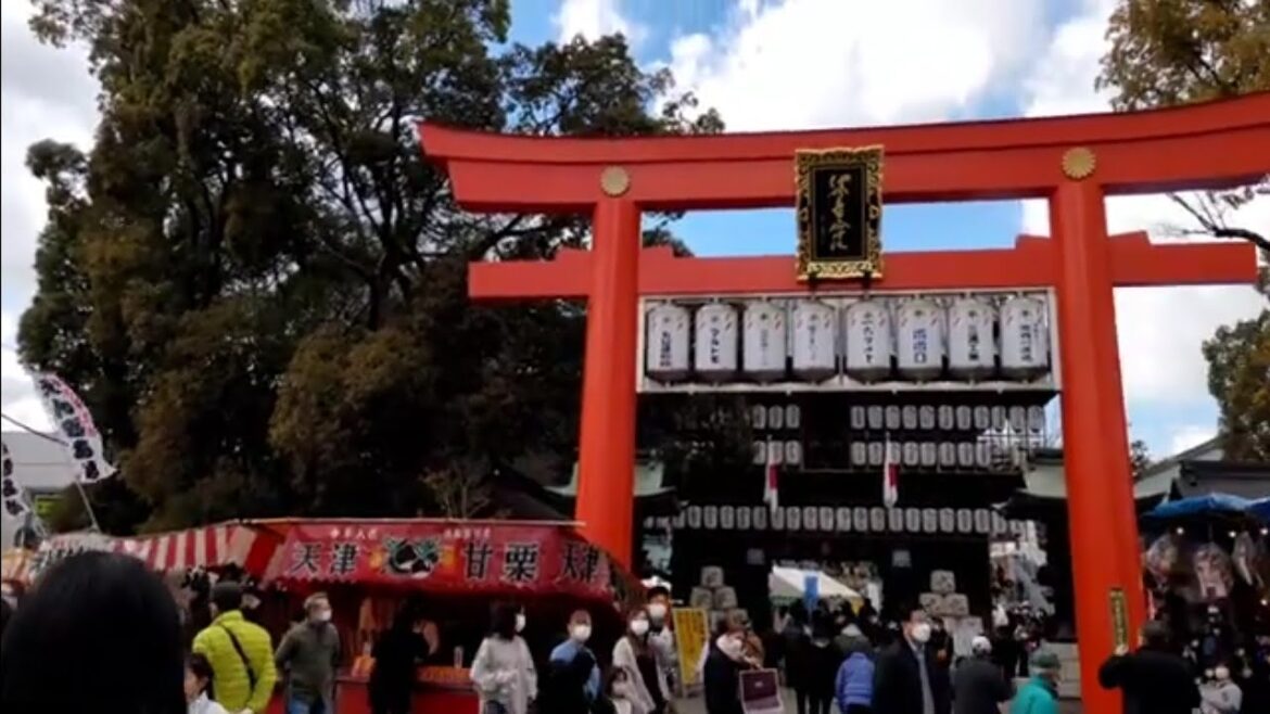 3年ぶりに屋台が復活！椿まつり2023！(前編)