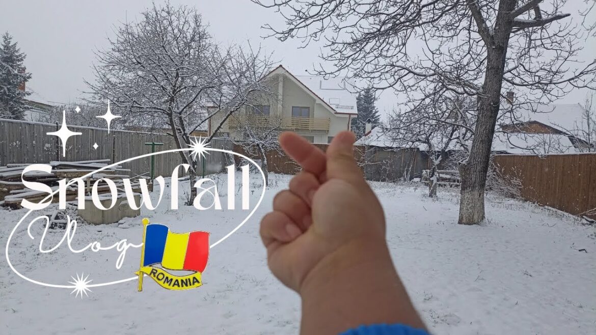 Snowfull In Rasnov Romania // First Snowfull Of Romania 2023 // A Snow Day // हिउँ पर्यो रोमनियमा