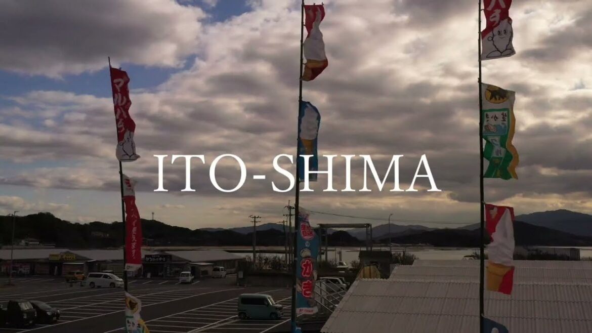 糸島カキ　～糸島10秒動画～