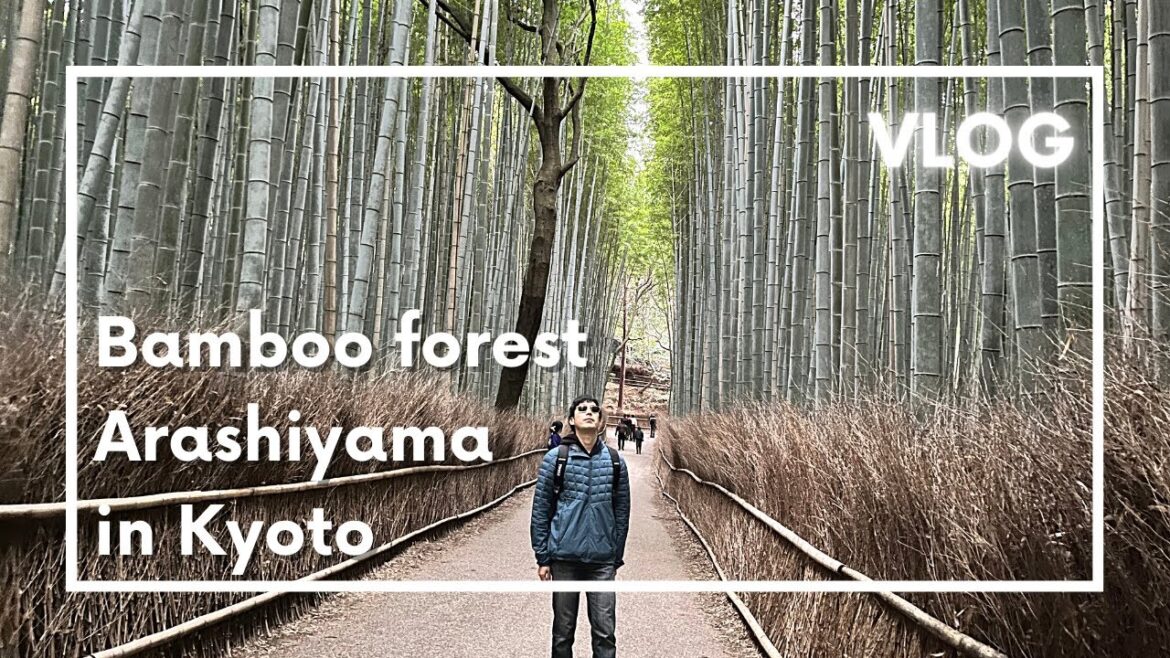 Arashiyama Bamboo forest in Kyoto, travel vlog day in my life in Japan Arashiyama Bamboo forest in Kyoto, travel vlog day in my life in Japan