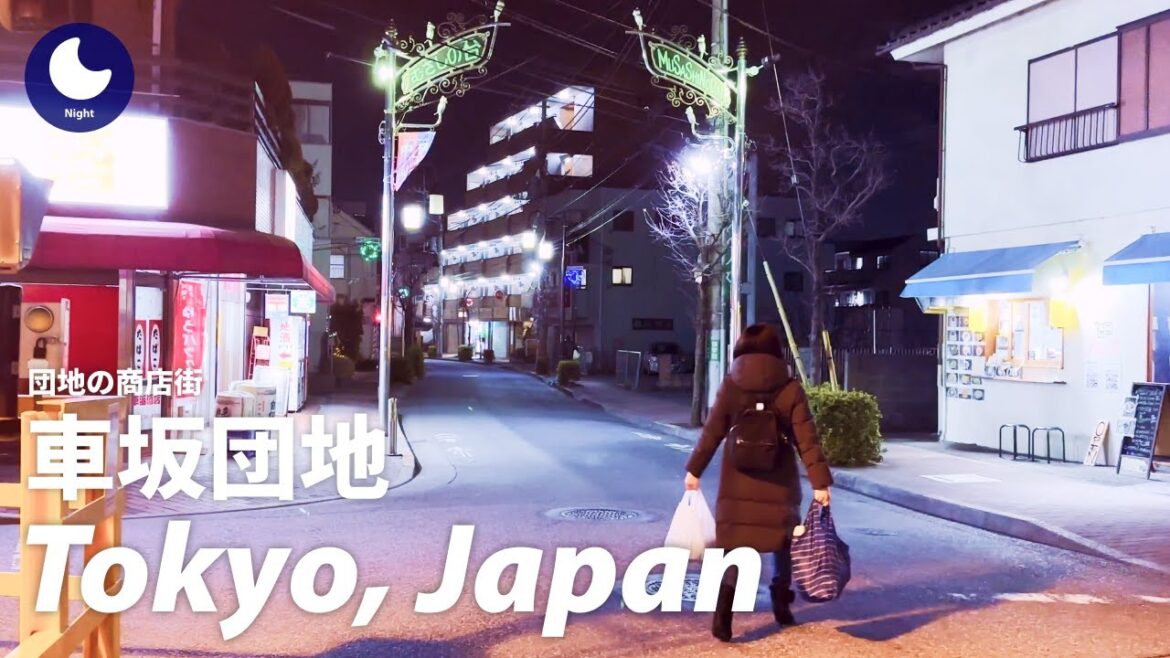 ⁴ᴷ Japan: Kurumazaka Housing Complex, Tokyo : Walking Tour 60fps (January, 2023) ⁴ᴷ Japan: Kurumazaka Housing Complex, Tokyo : Walking Tour 60fps (January, 2023)