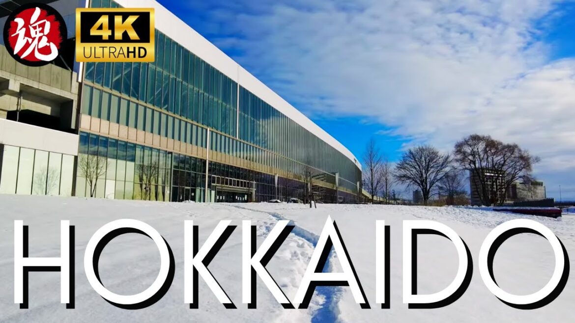 Winter Morning Walk In Freezing Japan | Asahikawa Station Winter Morning Walk In Freezing Japan | Asahikawa Station