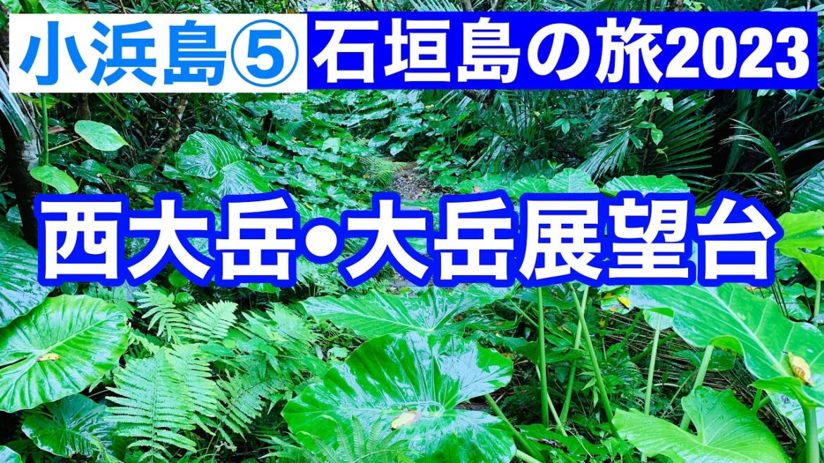 小浜島⑤/西大岳・大岳展望台/石垣島の旅2023/Kohama Island, okinawa, Japan 小浜島⑤/西大岳・大岳展望台/石垣島の旅2023/Kohama Island, okinawa, Japan