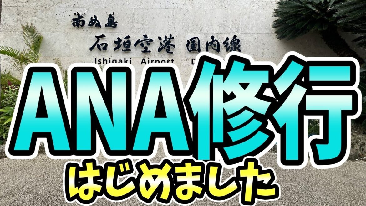 【ANA修行はじめました】ANAダイヤモンドステータス維持を目指して修行開始!羽田-石垣を往復!石垣空港で美味しいものを食べて楽しく修行します!|SFC修行|ダイヤモンド修行|石垣タッチ| 【ANA修行はじめました】ANAダイヤモンドステータス維持を目指して修行開始!羽田-石垣を往復!石垣空港で美味しいものを食べて楽しく修行します!|SFC修行|ダイヤモンド修行|石垣タッチ|