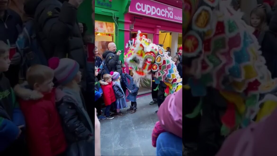 Lion Dance Chinese New Year London #chinesenewyear #shorts #short