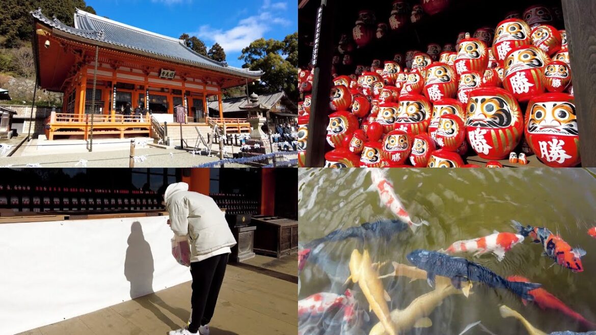 【Katsuo-ji Temple】 Winning Daruma Temple (#008) | Osaka