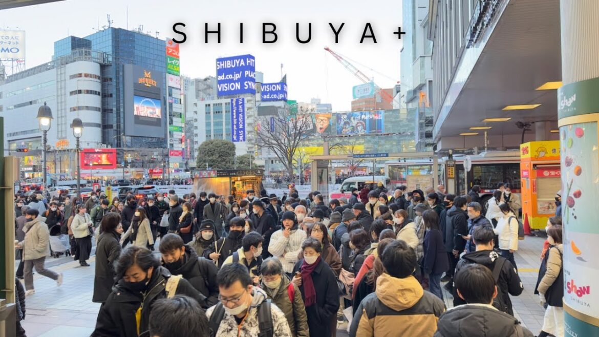 Shibuya & Daikanyama Live 🗾 Shibuya & Daikanyama Live 🗾