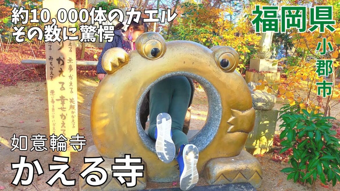 【祈願】「かえる寺」の愛称で大人気★如意輪寺には約10,000体のカエルの置物がある♪福岡観光★人気スポット/蛙/小郡市【福岡県/frog/tourism/trip/fukuoka/japan】