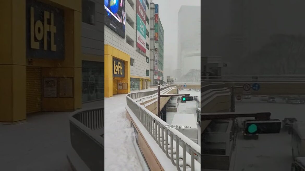 Bufera di neve in Giappone? a Sendai sicuramente sì! Bufera di neve in Giappone? a Sendai sicuramente sì!