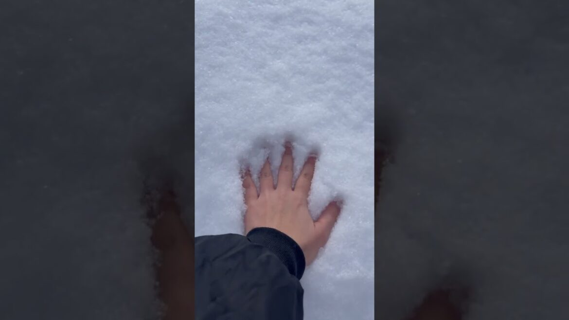 Shirakawago, Gifu, Japan ❄️🤍 #shirakawago #japan #snow #winter #travel #ชิราคาวาโก #เที่ยวญี่ปุ่น