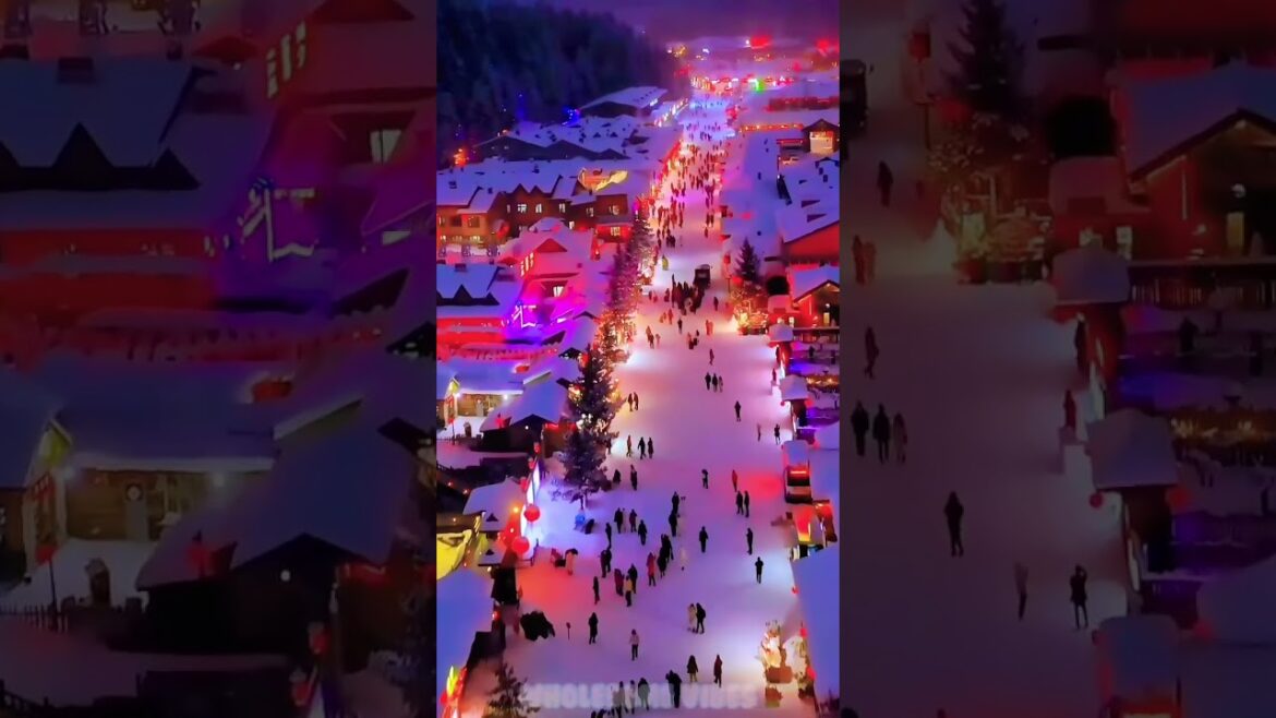 Winter night in Korea 🇰🇷#shorts #viral Winter night in Korea 🇰🇷#shorts #viral