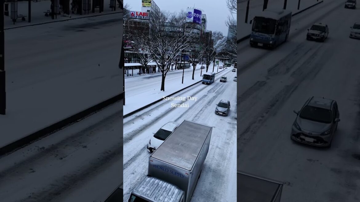 雪降る仙台 | Snowing Day Sendai #Shorts