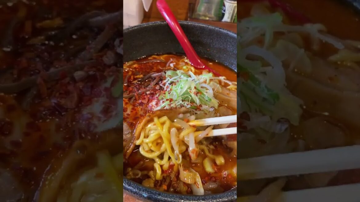 My Favourite RAMEN in Sapporo - Haruka Ramen - #Shorts! 🍜