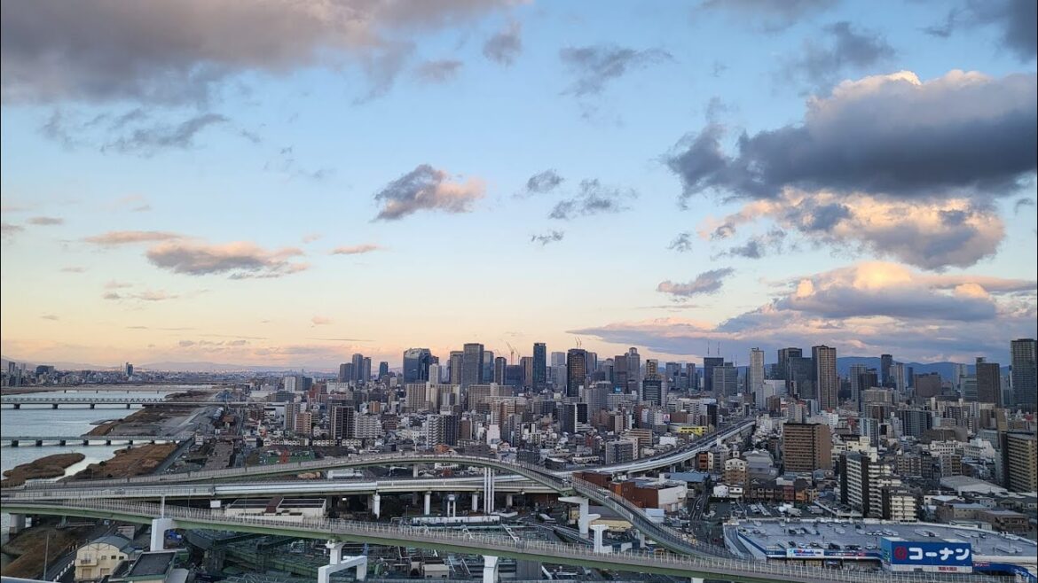 【 LIVE1440p 】大阪の景色 天気 晴れ 2023/1/29 ライブカメラ配信 @osaka japan #キタ #淀川河川敷 #梅田のビル群 #寒波 【 LIVE1440p 】大阪の景色 天気 晴れ 2023/1/29 ライブカメラ配信 @osaka japan #キタ #淀川河川敷 #梅田のビル群 #寒波