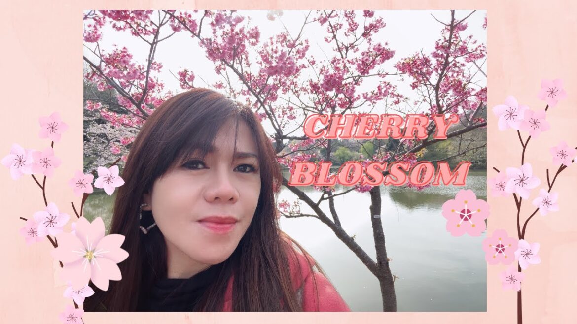 CHERRY BLOSSOM  VIRTUAL TOUR AT MITSUIKE PARK