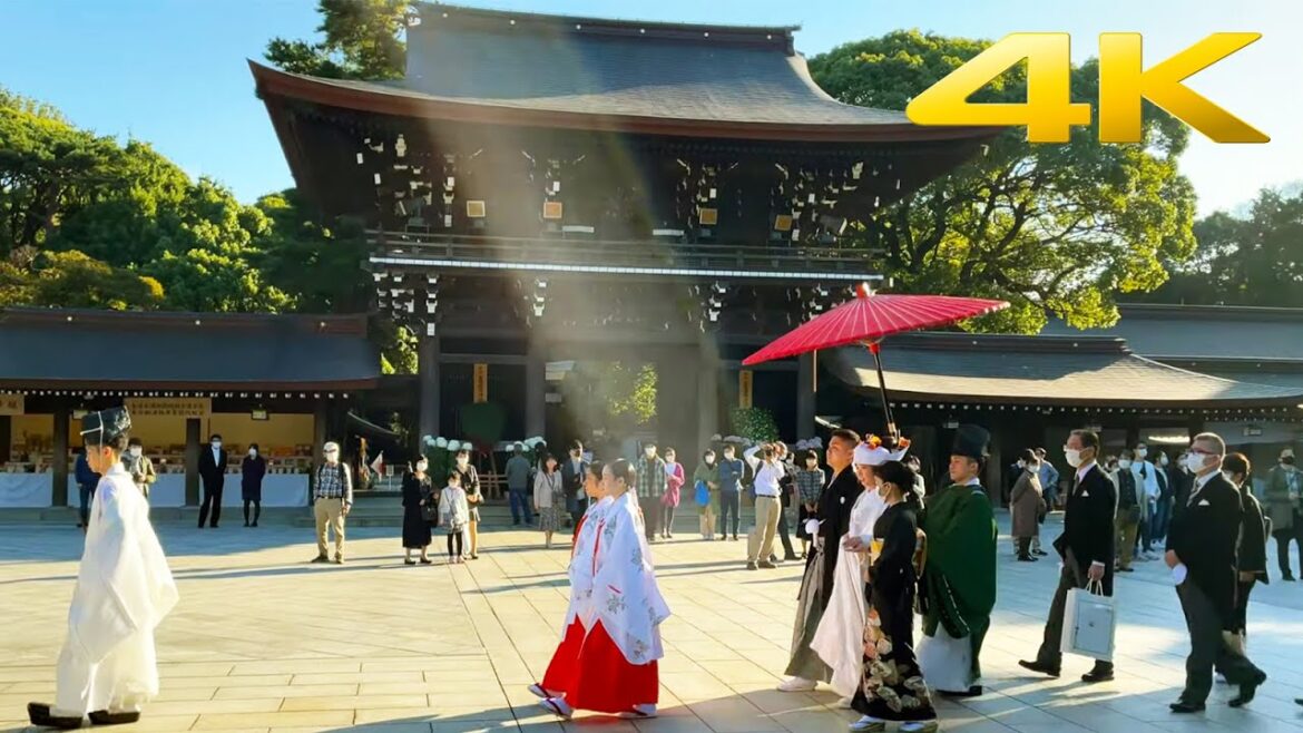 🇯🇵 Walk in Tokyo Meiji Jingu - Japan 2021【4K-60fps】