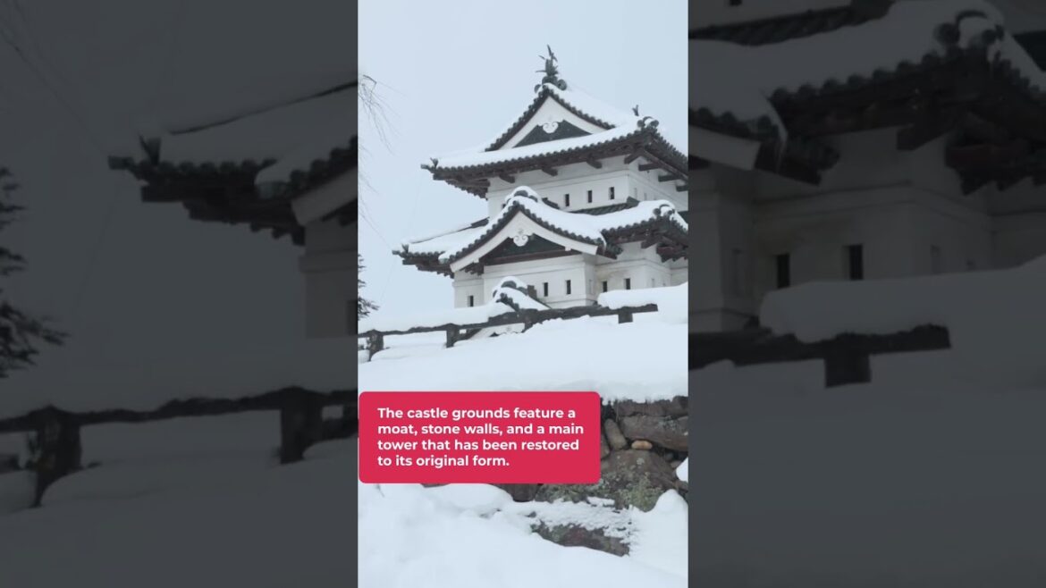 Winter WONDERLAND at Hirosaki Castle 🏯❄️ Winter WONDERLAND at Hirosaki Castle 🏯❄️