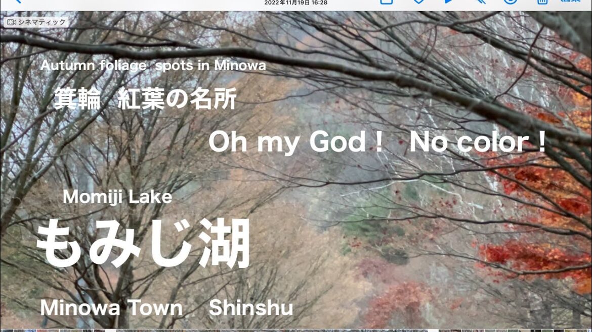 紅葉の名所 [ もみじ湖 ]  長野県 箕輪町  Autumn foliage  spots