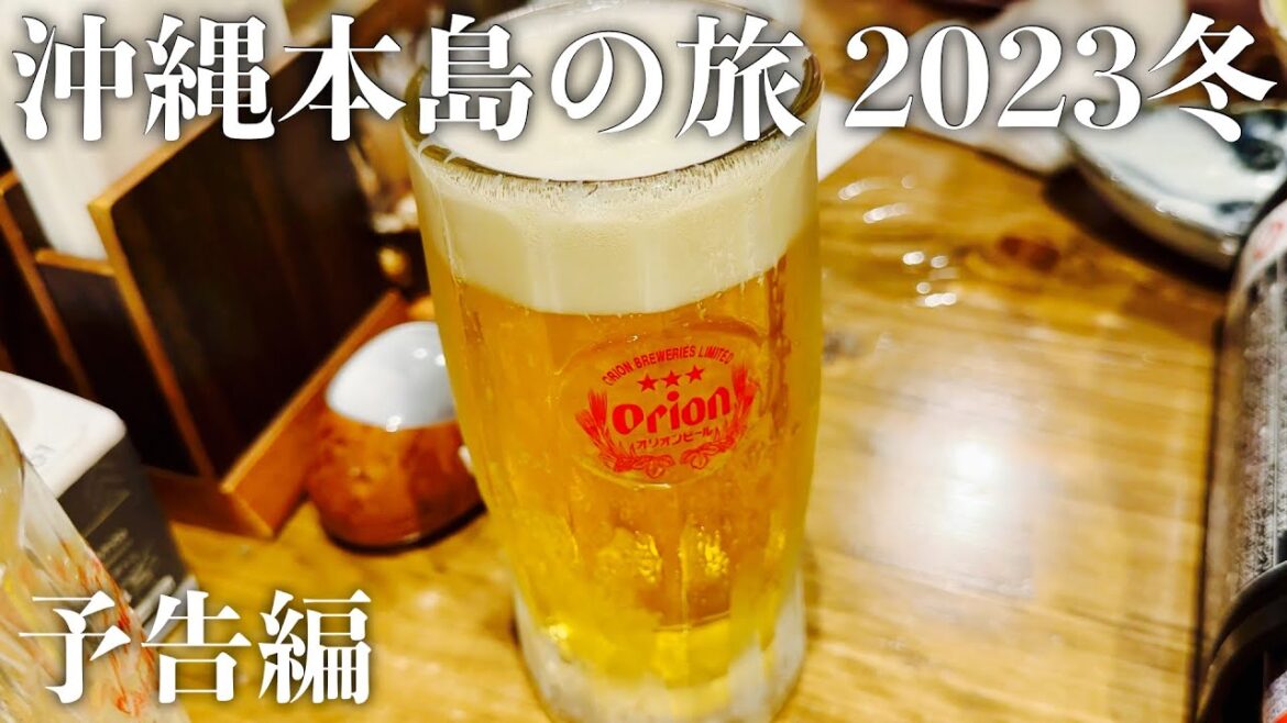 【沖縄旅行】沖縄本島の旅 2023冬 予告編