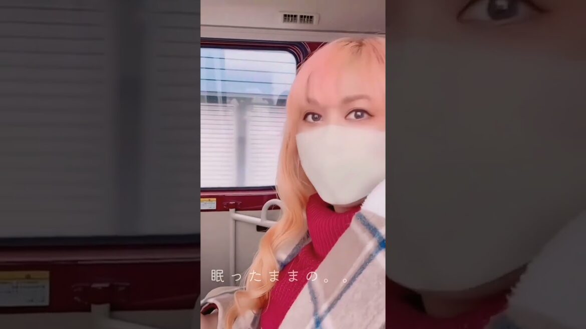 Snowfall in japan.....™❄💞